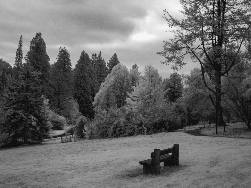 WI901 Bedgebury 10 11 24